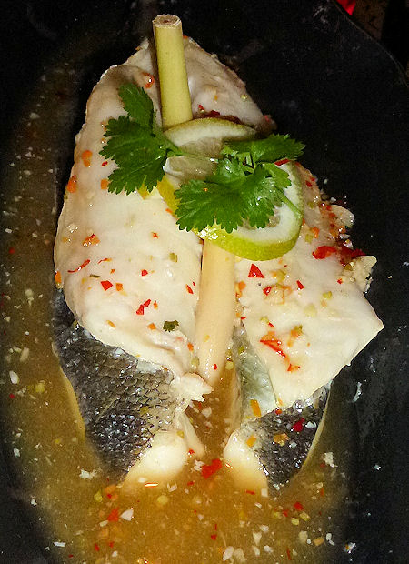 Vermilion - Seabass