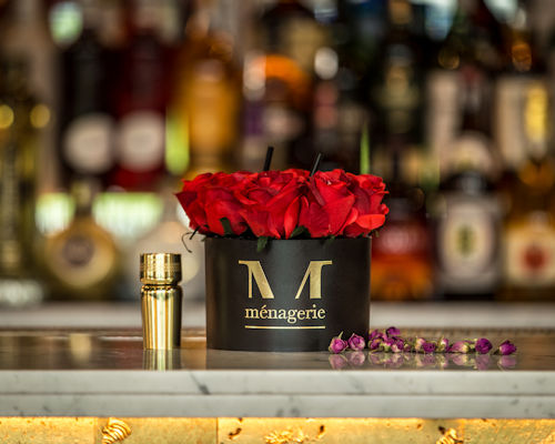 Valentine's Day In Manchester - Menagerie
