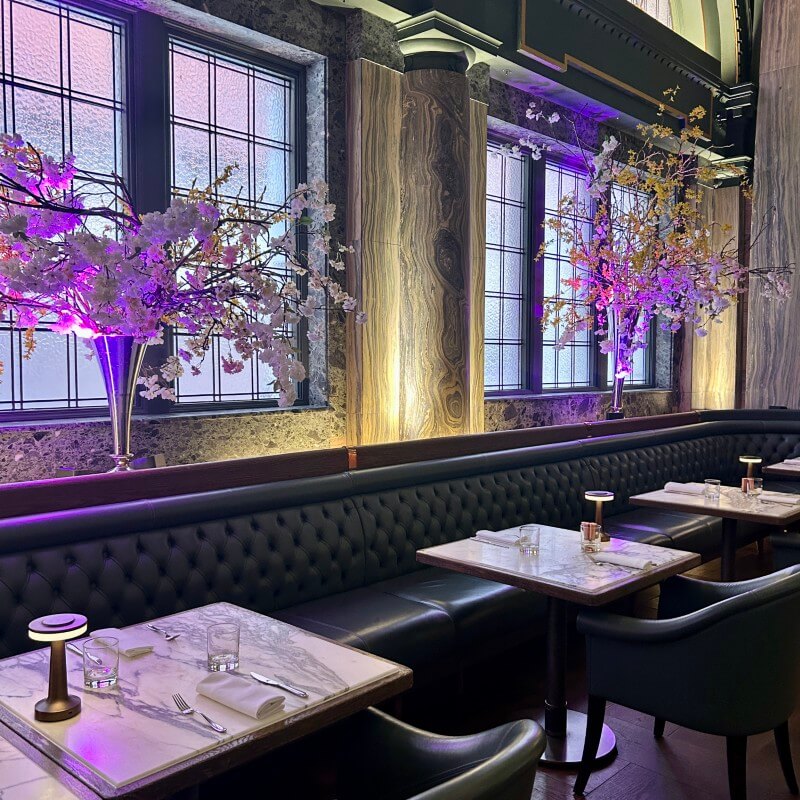 Tender - Menu Launch March 2025