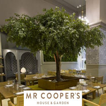 Mr Coopers House & Garden