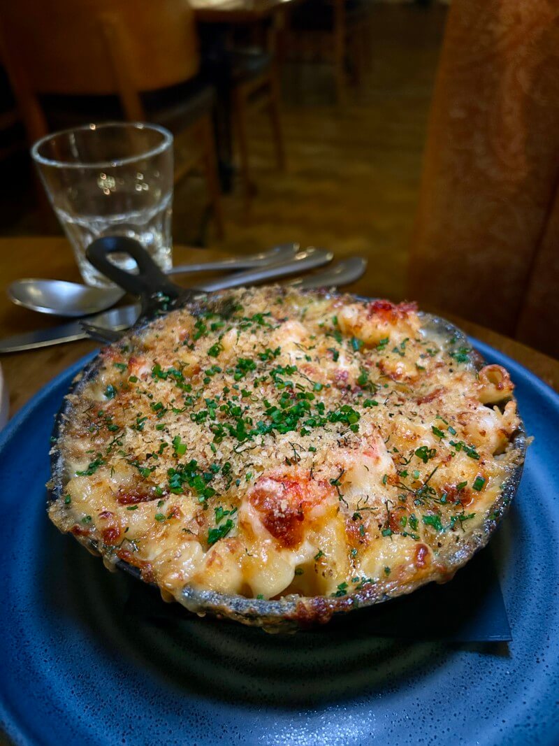 Refuge Spring Preview March 2026